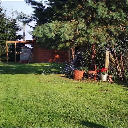 Agroturystyka U Rolnika - Apartament Nowakowo Экстерьер фото